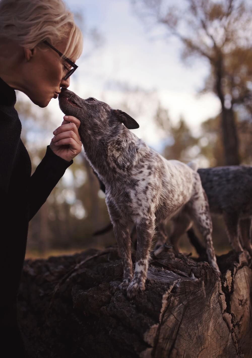 Kelly Engel Dog Training New Mexico
